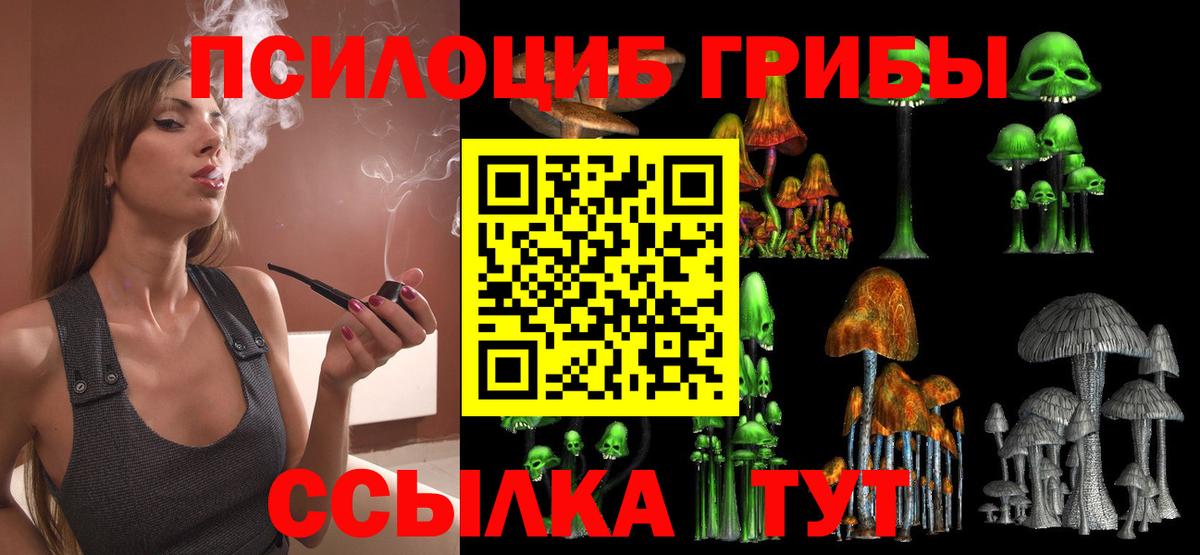 Галлюциногенные грибы MAGIC MUSHROOMS  Псилоцибиновые грибы MAGIC MUSHROOMS  Ставрополь  Вход с VPN 